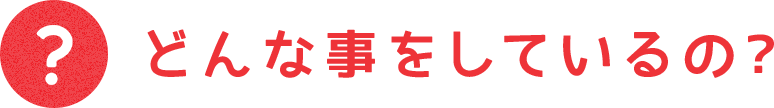 どんな事をしているの？